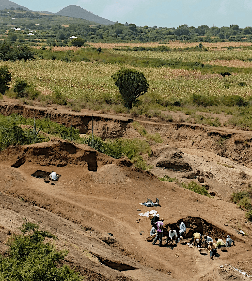 Le site de fouilles de Nyayanga, au Kenya, daté d'environ 2,9 millions d'années. © J.S. Oliver, Homa Peninsula Paleoanthropology Project (2016)