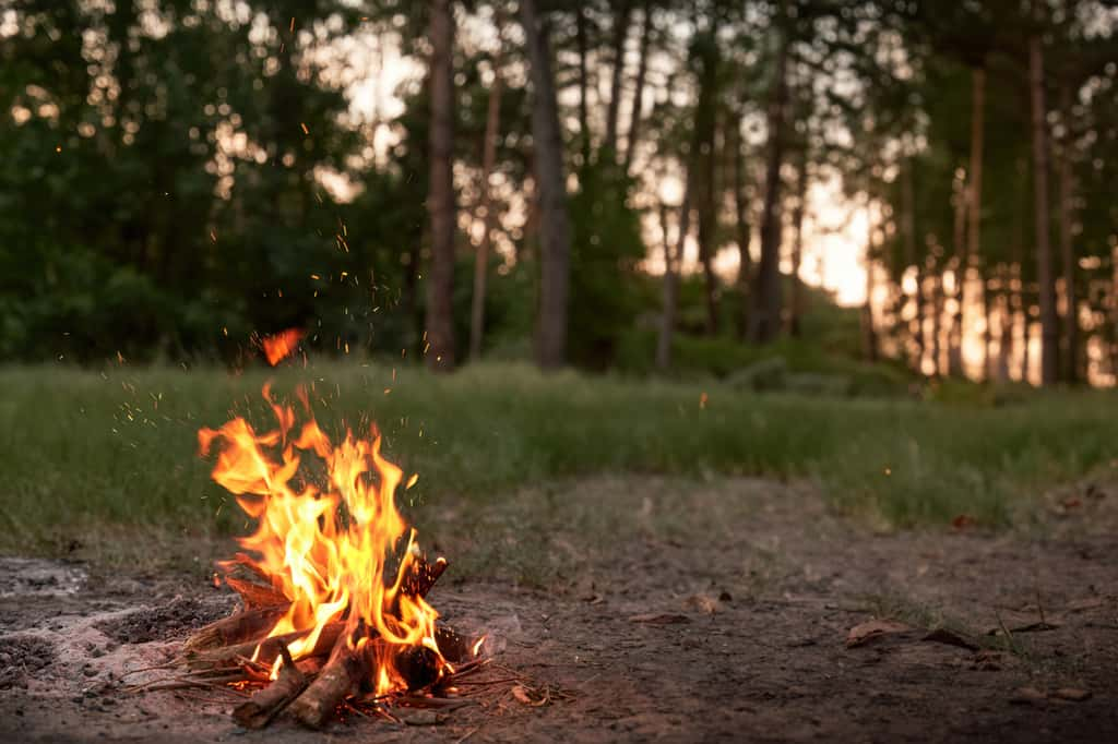 Un barbecue en pleine nature ? Gare aux risques d'incendies ! © AlexGo, Adobe Stock