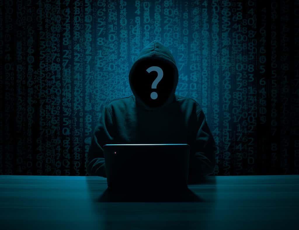 Le hacker éthique est un professionnel de cybersécurité. @B_A, Pixabay