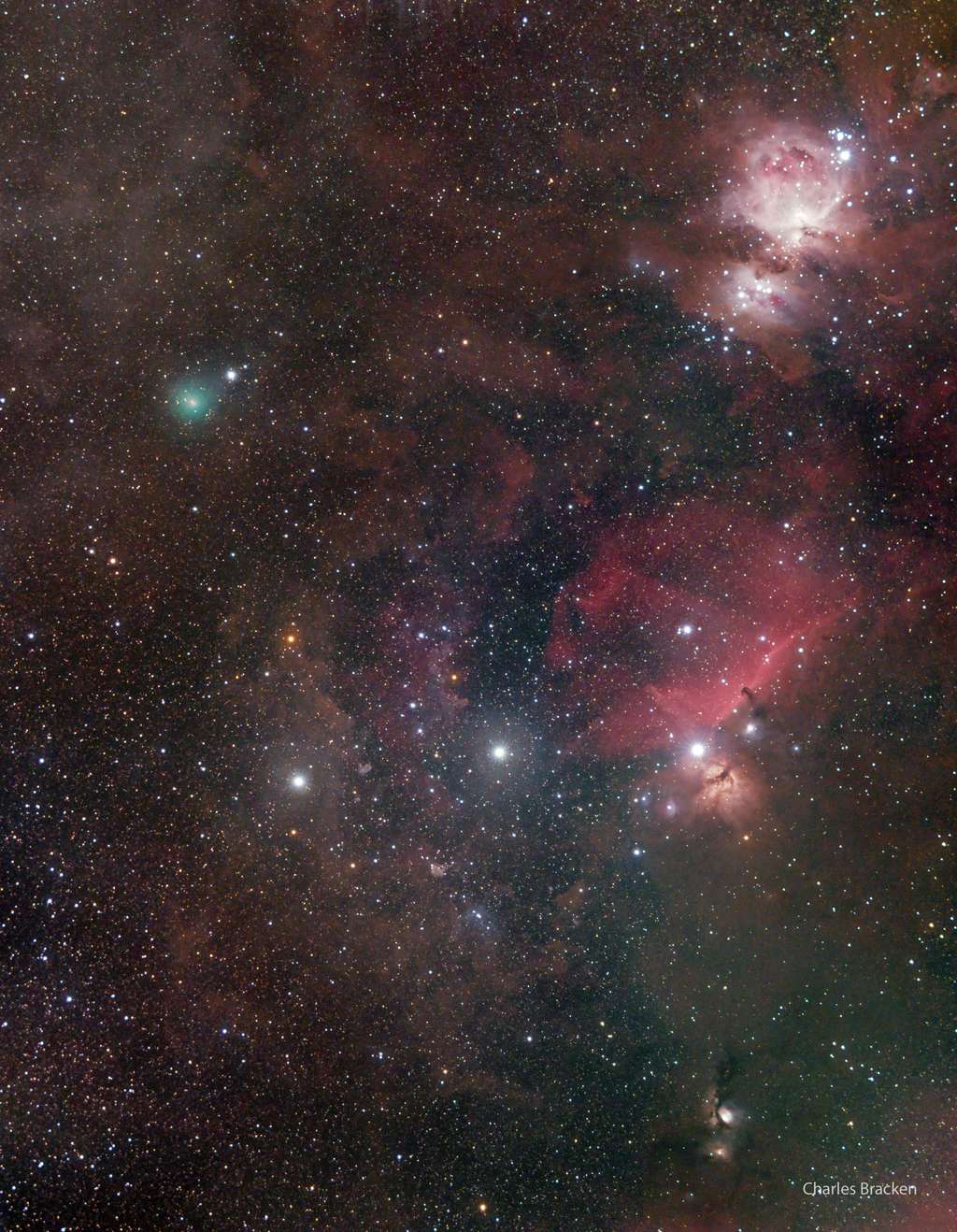 La comète Atlas dans Orion, sous la ceinture, le 8 novembre dernier. Vu de l'hémisphère sud, la constellation apparaît à l'envers. Le noyau cométaire, verdâtre (en haut à gauche), forme un triangle avec la nébuleuse d'Orion (en haut à droite) et l'ensemble de la nébuleuse de la Flamme et de la nébuleuse de la Tête de Cheval (centre droit). © Charles Bracken, Apod (Nasa)