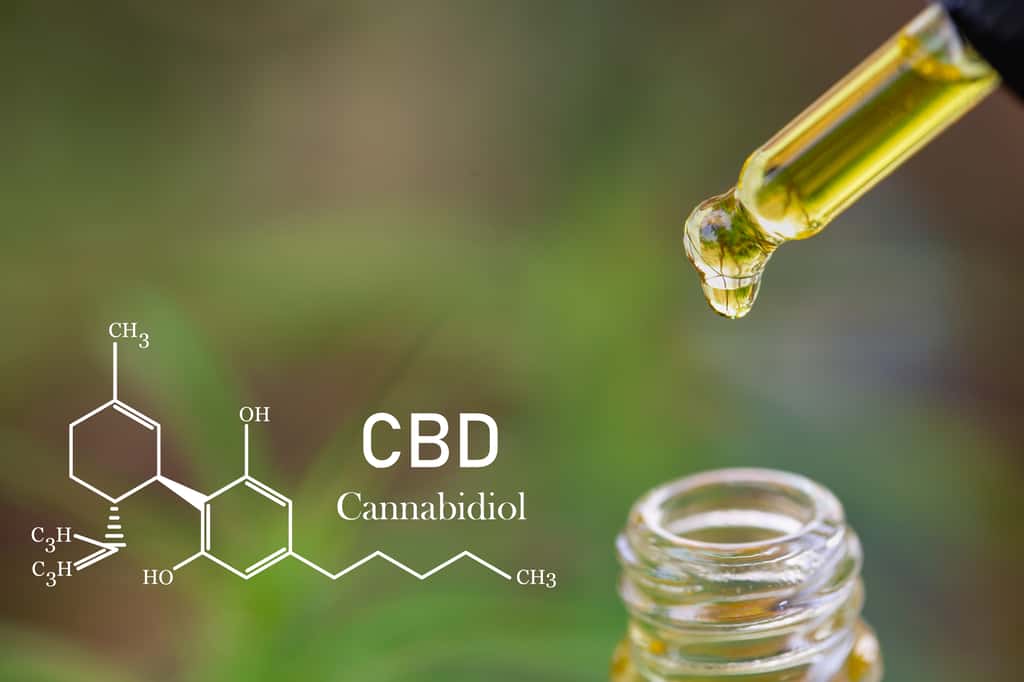 Le CBD est une molécule faisant partie de la famille des cannabinoïdes. Il posséderait des vertus thérapeutiques et n'entraîne pas de dépendance à l'inverse du THC. © Tinnakorn, Adobe Stock