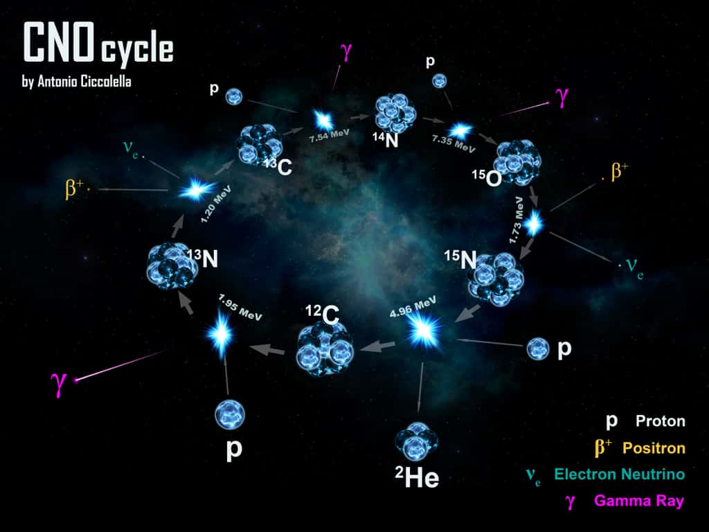 Un présentation du cycle CNO, un cycle thermochimique en physique nucléaire qui produit de l'énergie avec des noyaux. Voir les explications dans la vidéo-ci-dessus. © Antonio Ciccolella, CC by-sa 4.0 