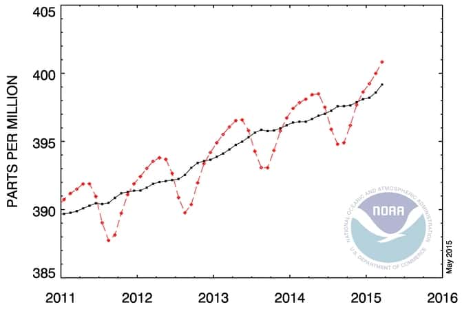 Évolution mensuelle de la concentration atmosphérique mondiale en dioxyde de carbone. La courbe rouge indique les teneurs mesurées. La noire est basée sur les mêmes valeurs mais avec un lissage des variations saisonnières. © NOAA