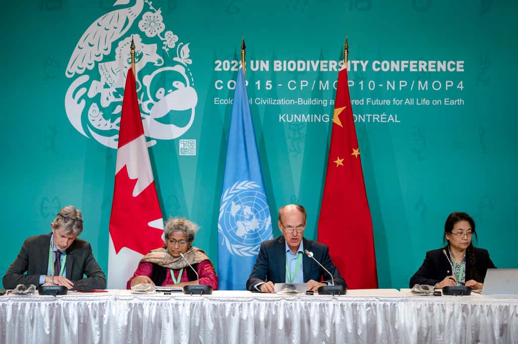 Baptisé Accord de Kunming-Montréal, le « pacte de paix avec la nature » a été signé par plus de 190 États. © Andrej Ivanov, AFP