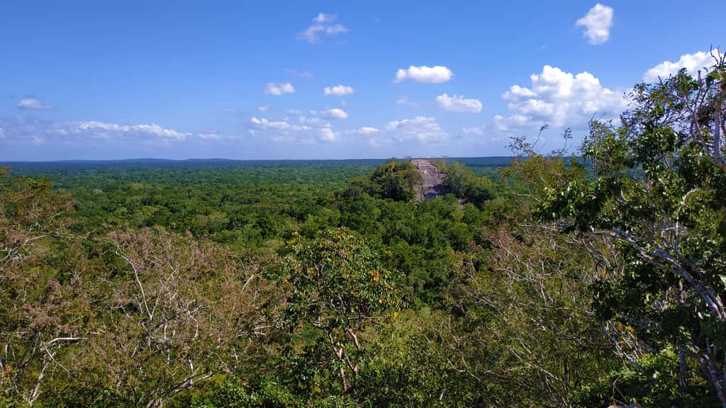 Calakmul, site d'une des plus importantes cités mayas. © Neven Myst, Unsplash
