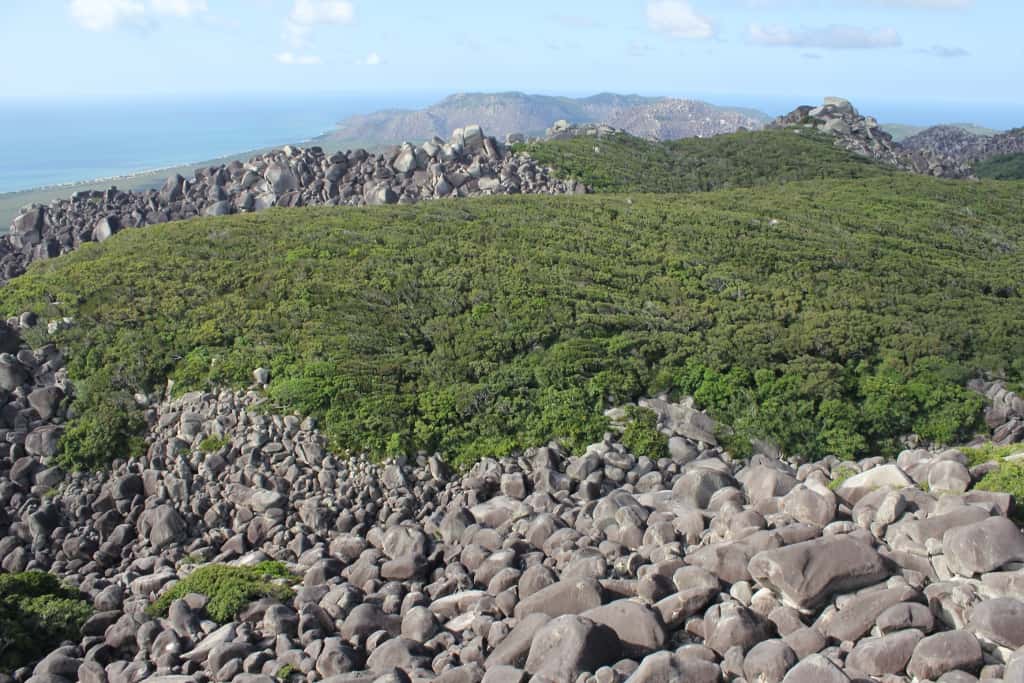 Les blocs de granite composant la chaîne de montagnes Cape Melville ont des tailles comparables à des voitures ou à des maisons. Ils se sont formés voici 250 millions d'années. © Conrad Hoskin