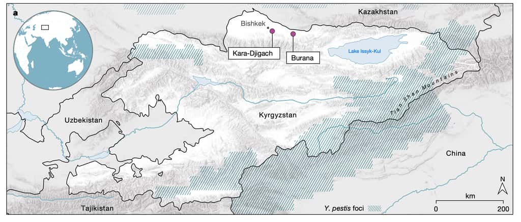 La localisation du lac Issyk-Kul au Kirghizistan. © Maria A. Spyrou et <em>al</em>., <em>Nature 2022</em>