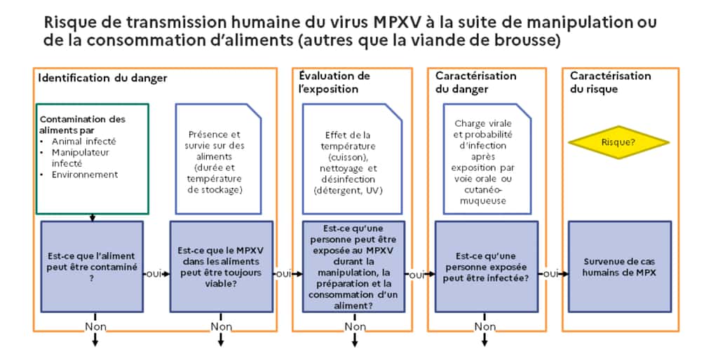 Les conditions requises pour que la transmission du virus de la variole du singe suite à la manipulation ou la consommation d'aliments soit avérée. © Anses