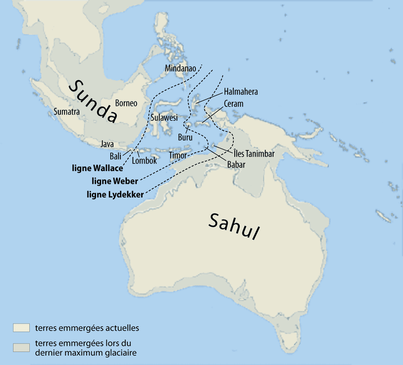 Comme le montre cette carte, Sahul est une plateforme continentale comprenant une partie aujourd’hui immergée, entre la Nouvelle-Guinée et l’Australie. © Maximilian Dörrbecker (Chumwa), <em>Wikimedia Commons</em>, cc by sa 2.5