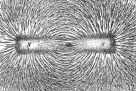 La limaille de fer permet de révéler les lignes du champ magnétique d’un aimant. © Newton Henry Black
