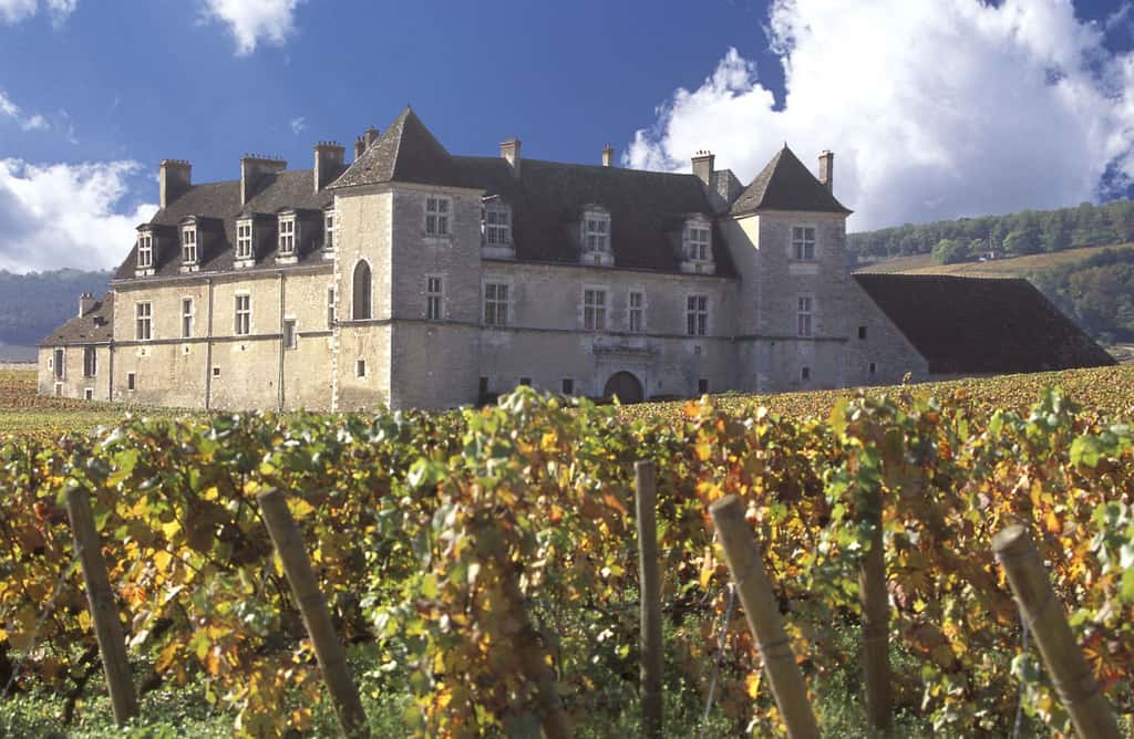 Château du Clos de Vougeot, Bourgogne. Inrap. © Château du Clos de Vougeot