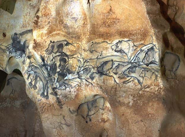 Une fresque de la <a title="Diaporama - Grotte Chauvet : l'art pariétal dans toute sa splendeur" href="//www.futura-sciences.com/photos/diaporama/grotte-chauvet-art-parietal-toute-splendeur-1110/">grotte Chauvet-Pont d'Arc</a> montrant un troupeau de bisons chassé par des lions des cavernes. © Jean Clottes, tous droits réservés