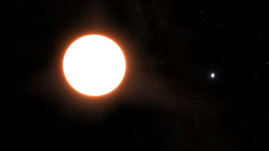 Représentation artistique de l'exoplanète LTT9779b et son étoile. La planète, de la taille de Neptune, réfléchit 80 % de la lumière qui l'éclaire, ce qui en fait le plus grand « miroir » connu de l'Univers. © Ricardo Ramírez Reyes (Universidad de Chile)