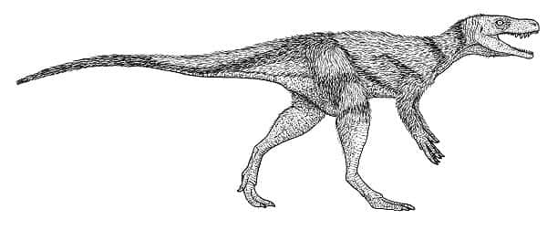 Une reconstitution de <em>Chindesaurus</em>. © Jeffrey Martz, <em>National Park Service</em>