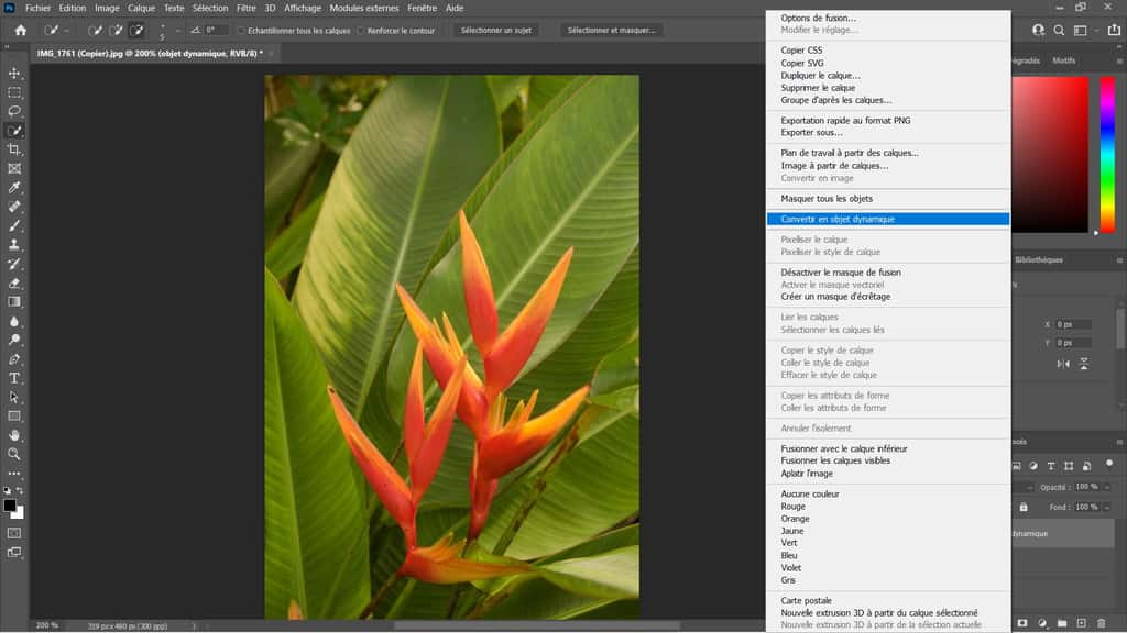 Convertissez votre calque en objet dynamique ©Adobe