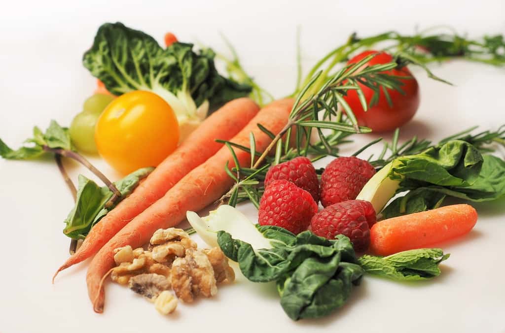 Les carences alimentaires sont fréquentes et varient selon les individus. © dbreen by Pixabay