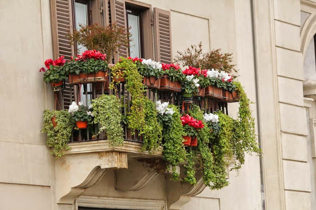 Attention à ne pas tomber dans l’excès : avec trop de plantes sur le balcon, il n’y a plus d’espace pour vous-même ! © Pixabay