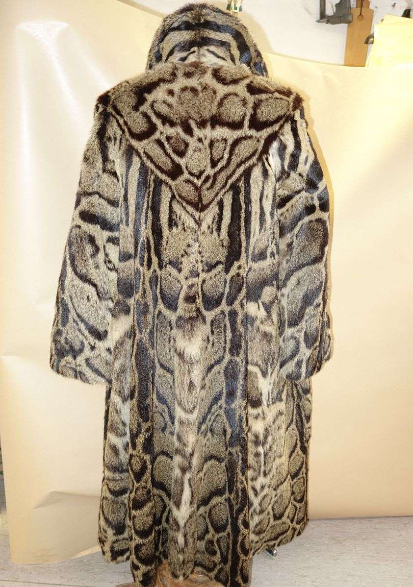 Un manteau en peau de panthère nébuleuse. Ce genre de pièces exubérantes placent aujourd'hui ce félin sur la liste des espèces vulnérables de l'UICN. © Kürschner, Wikimedia