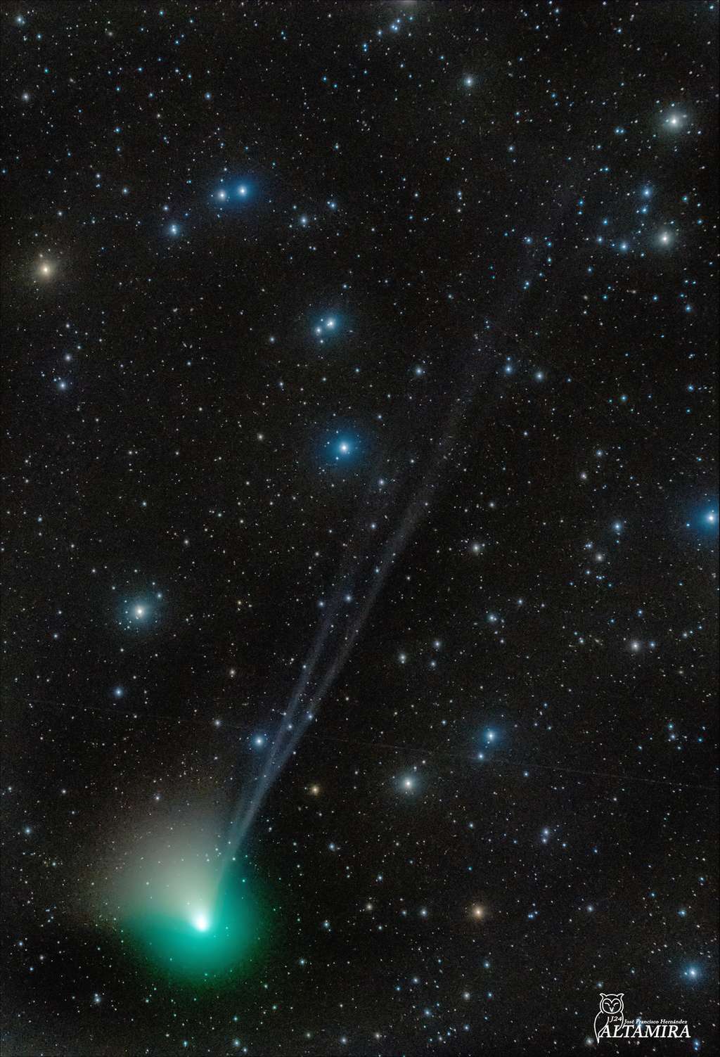 La comète C/2022 E3 (ZTF) et sa belle chevelure de poussière auréolée de vert d'où s'échappent deux longues queues bleutées chahutées par le vent solaire. © Jose Francisco Hernández, Apod (Nasa)