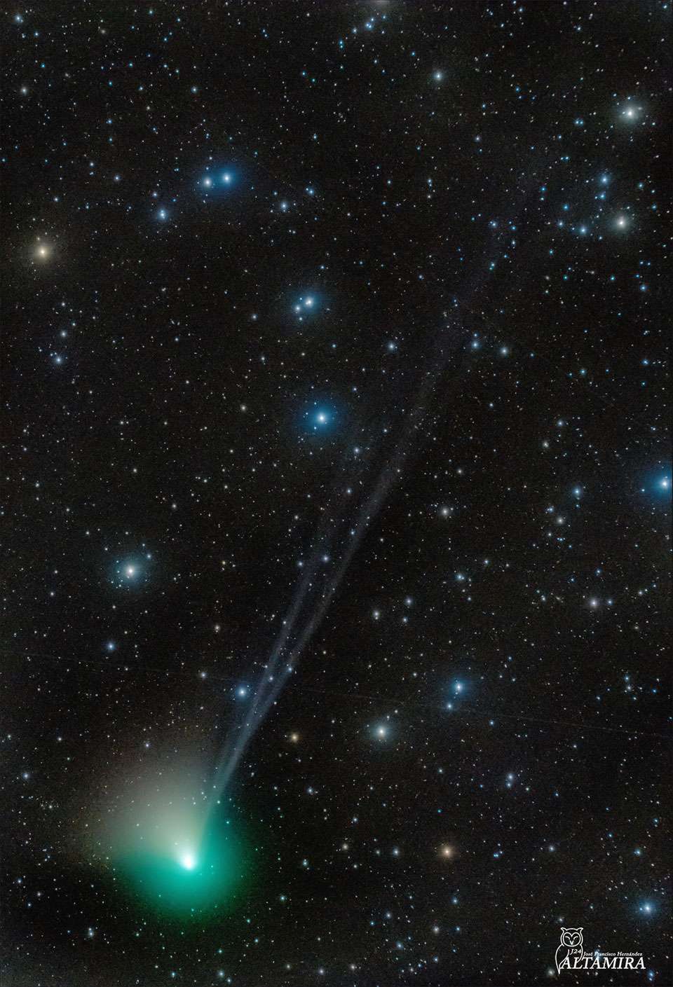 La comète ZTF a développé plusieurs queues de plasma qui proviennent de vents solaires variables. © Jose Francisco Hernández