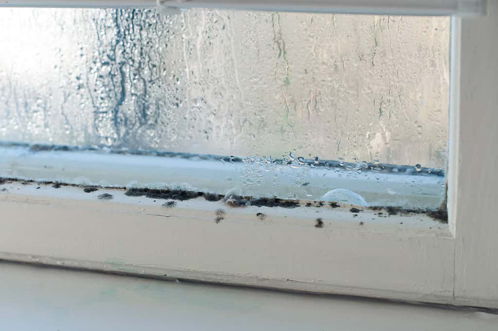 Dites adieu à la condensation et aux moisissures. © MarinaCH, iStock