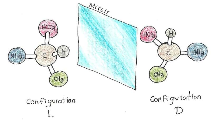 Les molécules chirales peuvent exister sous une forme droite ou gauche, car elles sont asymétriques. C'est la forme gauche qui prime sur Terre, sans que l'on sache pourquoi ! © LouveNoir24, <em>Wikimedia Commons</em>