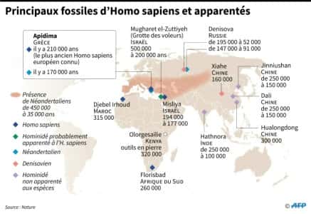 Carte figurant les lieux où ont été trouvés les principaux fossiles d'hominidés. © AFP