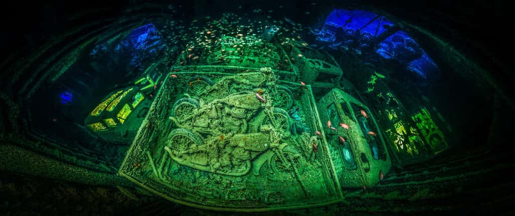 Drôle d’ambiance au fond de la mer Rouge. Figées dans cette épave, des motos datant de la seconde guerre mondiale. © Tobias Friedrich, UPY 2018