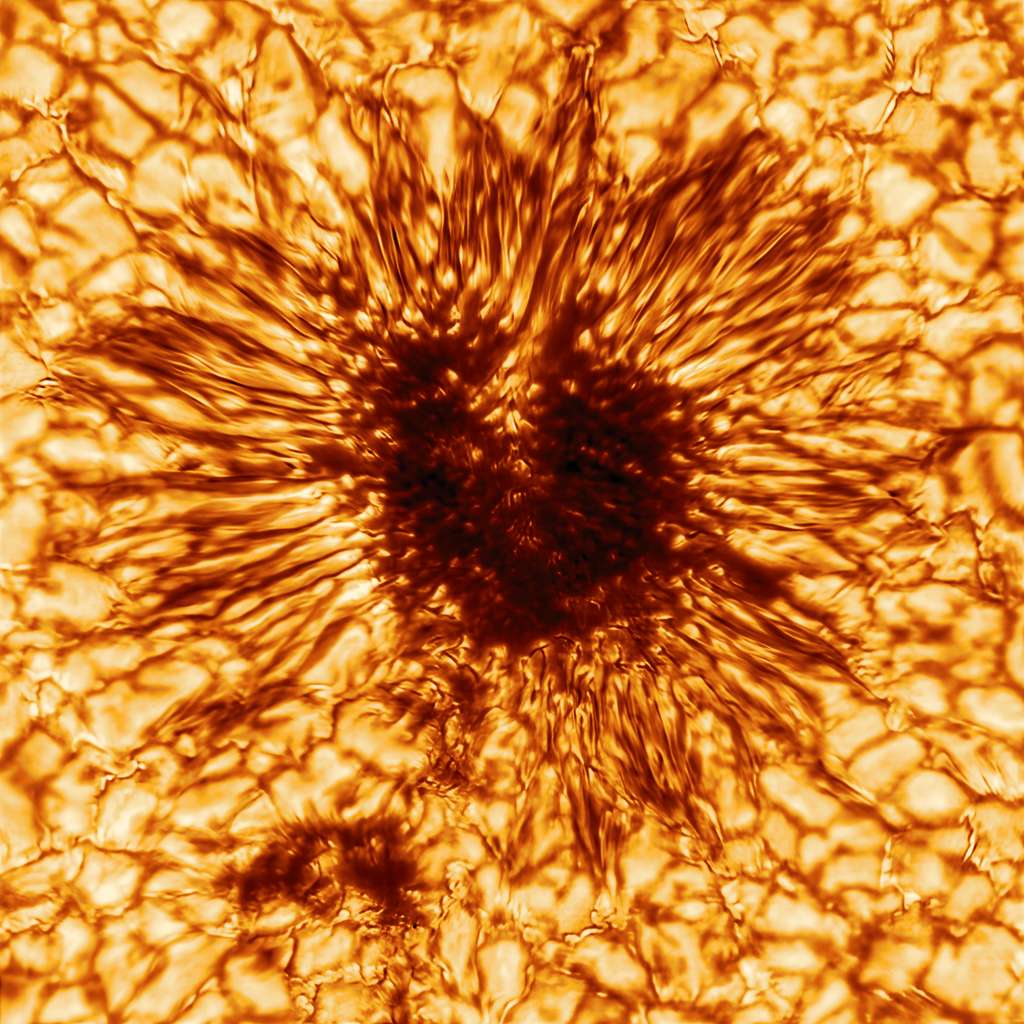 Tache solaire imagée par le télescope Inouye le 28 janvier 2020. Les détails sans précédent révèlent la structure interne d'une tache sombre. Celle-ci mesurait quelque 16.000 kilomètres de diamètre. © NSO, Aura, NSF