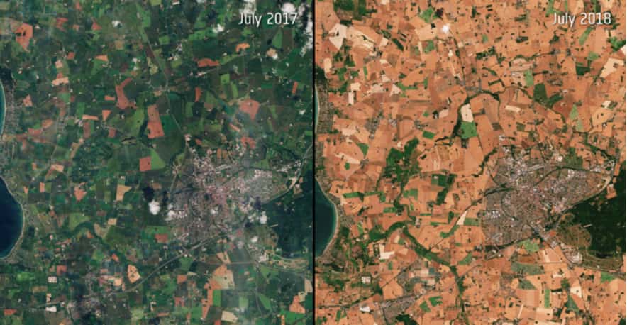L'imagerie satellite montre le paysage au Danemark lors d'un mois de juillet typique à gauche, et le même paysage lors de l'été 2018 à droite, où une sécheresse particulièrement intense eut lieu. Presque toute la végétation a disparu. © Jose Gruenzweig, <em>The Hebrew University of Jerusalem, European Space Agency</em>