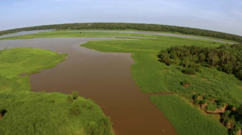 La réserve de Mamirauá, le long de l'Amazone, est devenue un lieu de vie pour une large population de botos. © French Connection Films