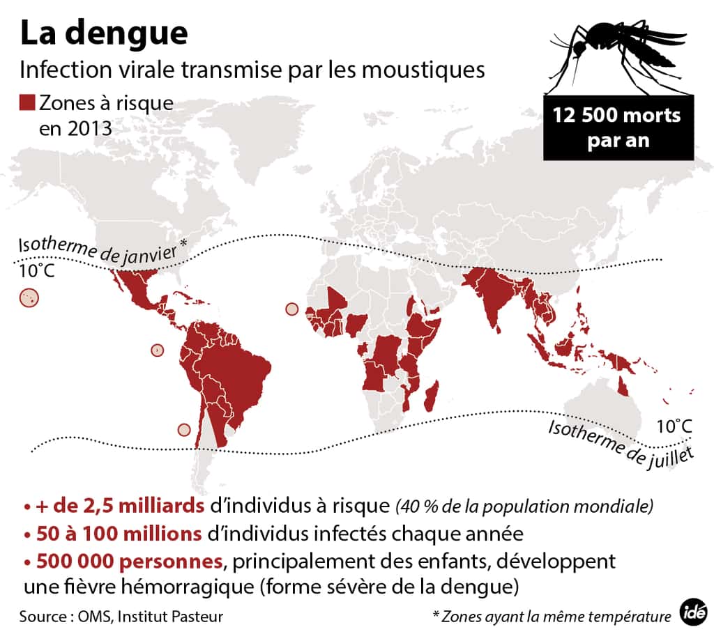 Zones dans lesquelles sévit la dengue. © Idé 