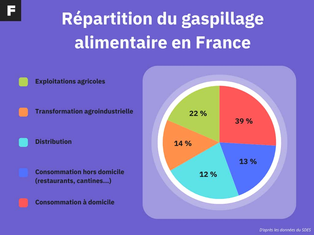 Diagramme de répartition des pertes et du gaspillage au sein de la chaîne alimentaire en France en 2024. © Futura (données du SDES)