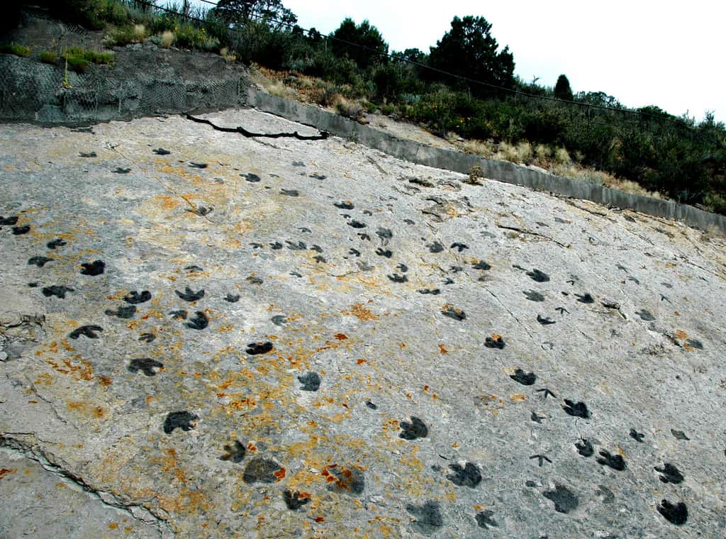 Des traces de pas de dinosaures dans le grès du Dakota, datées du Crétacé Inférieur, sur le célèbre site <em>Dinosaur Ridge</em>, non loin des endroits où ont été repérées les traces de l'étude rapportée ici. © James St. John, Flickr, CC by-nc-sa 2.0