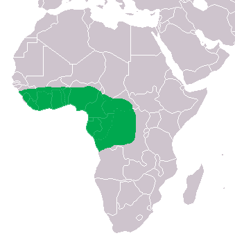 Répartition de l'espèce <em>Osteolaemus tetraspis</em>. © Achim Raschka, Wikimedia Commons