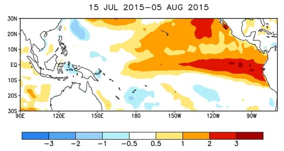 Les anomalies de température relevées à la surface de l'océan Pacifique entre le 15 juillet et le 5 août 2015 (en degrés Celsius). Le long de l'équateur, l'élévation par rapport à la moyenne se situe entre 1 °C et 2 °C au centre et atteint très localement 3 °C non loin des côtes de l'Amérique du Sud. © NOAA