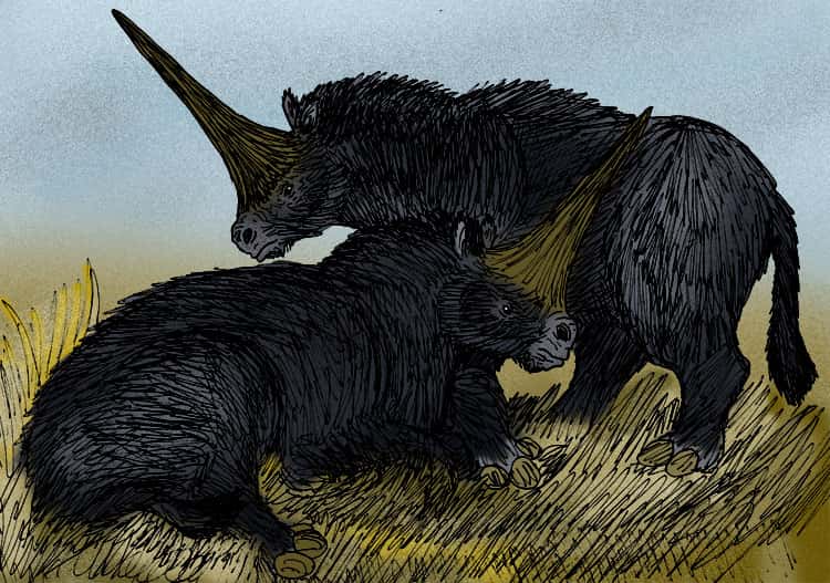 Une représentation d’<em>Elasmotherium sibericum</em> montrant qu’il s’agissait plutôt d’un rhinocéros poilu. © Stanton F. Fink, <em>Wikimedia Commons</em>, CC by-sa 3.0