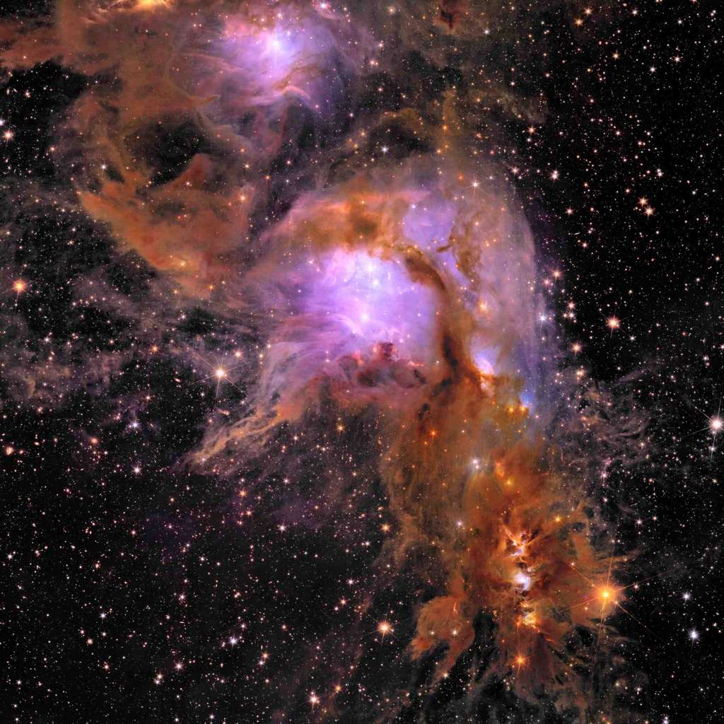 Cette image à couper le souffle présente Messier 78, une pépinière d'étoiles vibrante enveloppée de poussière interstellaire. Euclid a scruté profondément cette pépinière à l'aide de sa caméra infrarouge, exposant pour la première fois les régions cachées de la formation d'étoiles, cartographiant ses filaments complexes de gaz et de poussière avec des détails sans précédent et découvrant des étoiles et des planètes nouvellement formées. Les instruments d’Euclid peuvent détecter des objets d’une masse à peine supérieure à celle de Jupiter, et ses « yeux » infrarouges révèlent plus de 300 000 nouveaux objets dans ce seul champ de vision. Les scientifiques utilisent cet ensemble de données pour étudier la quantité et le ratio d’étoiles et d’objets plus petits (sous-stellaires) trouvés ici – un élément clé pour comprendre la dynamique de la formation et de l’évolution des populations d’étoiles au fil du temps. © ESA/Euclid/Euclid Consortium/Nasa, traitement d'images par J.-C. Cuillandre (CEA Paris-Saclay), G. Anselmi ; Licence standard CC BY-SA 3.0 IGO ou ESA. 