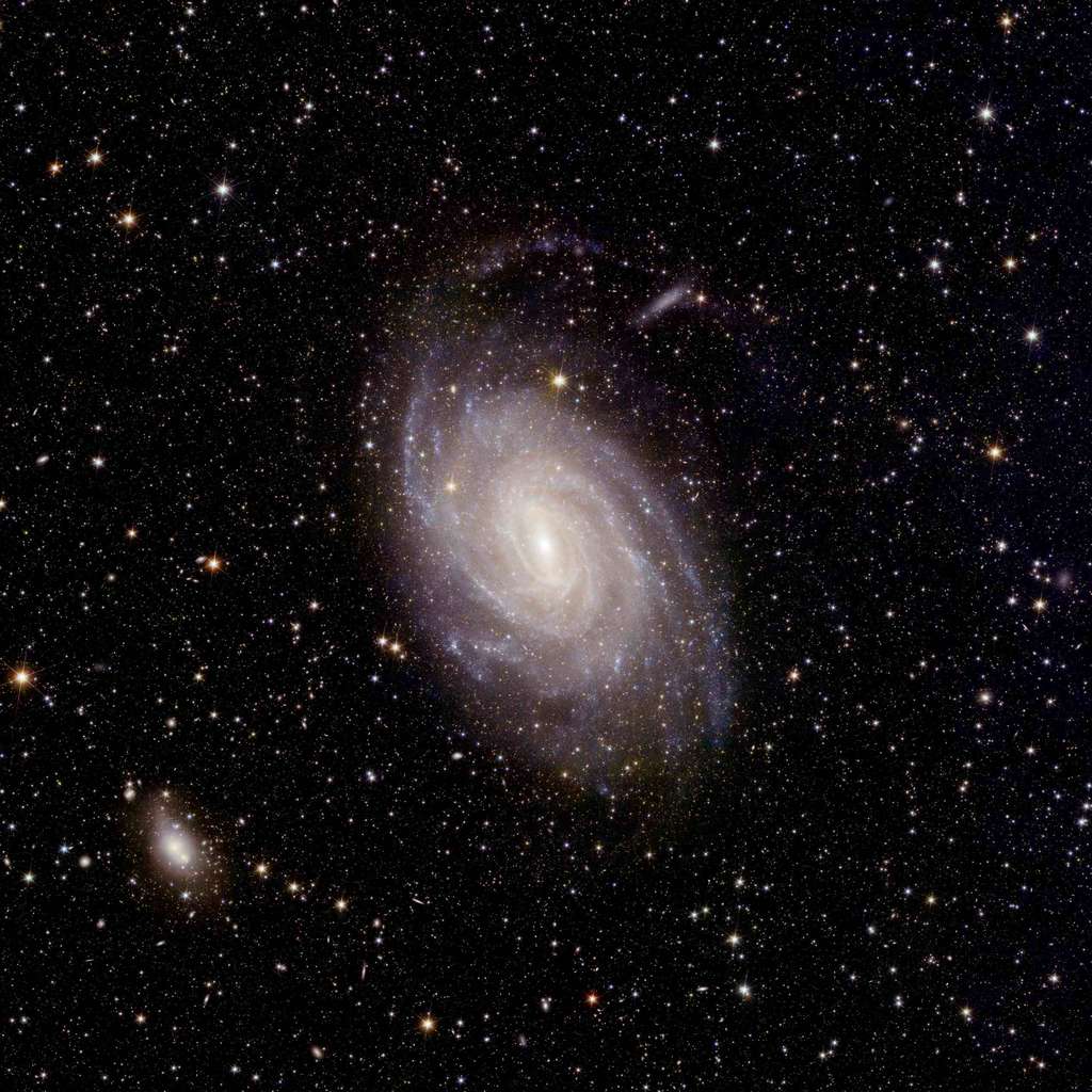 Dans cette image, Euclid présente NGC 6744, un archétype du type de galaxie qui forme actuellement la plupart des étoiles de l'Univers local. Le grand champ de vision d’Euclid couvre la galaxie entière, capturant non seulement la structure spirale à plus grande échelle, mais également des détails exquis à petite échelle spatiale. Cela inclut des bandes de poussière ressemblant à des plumes émergeant comme des « éperons » des bras en spirale, montrées ici avec une incroyable clarté. Les scientifiques utilisent cet ensemble de données pour comprendre comment la poussière et les gaz sont liés à la formation des étoiles ; cartographier la répartition des différentes populations d'étoiles dans les galaxies et les endroits où les étoiles se forment actuellement ; et découvrir la physique derrière la structure des galaxies spirales, quelque chose qui n'est toujours pas entièrement compris après des décennies d'étude. © ESA/Euclid/Euclid Consortium/Nasa, traitement d'images par J.-C. Cuillandre (CEA Paris-Saclay), G. Anselmi ; Licence standard CC BY-SA 3.0 IGO