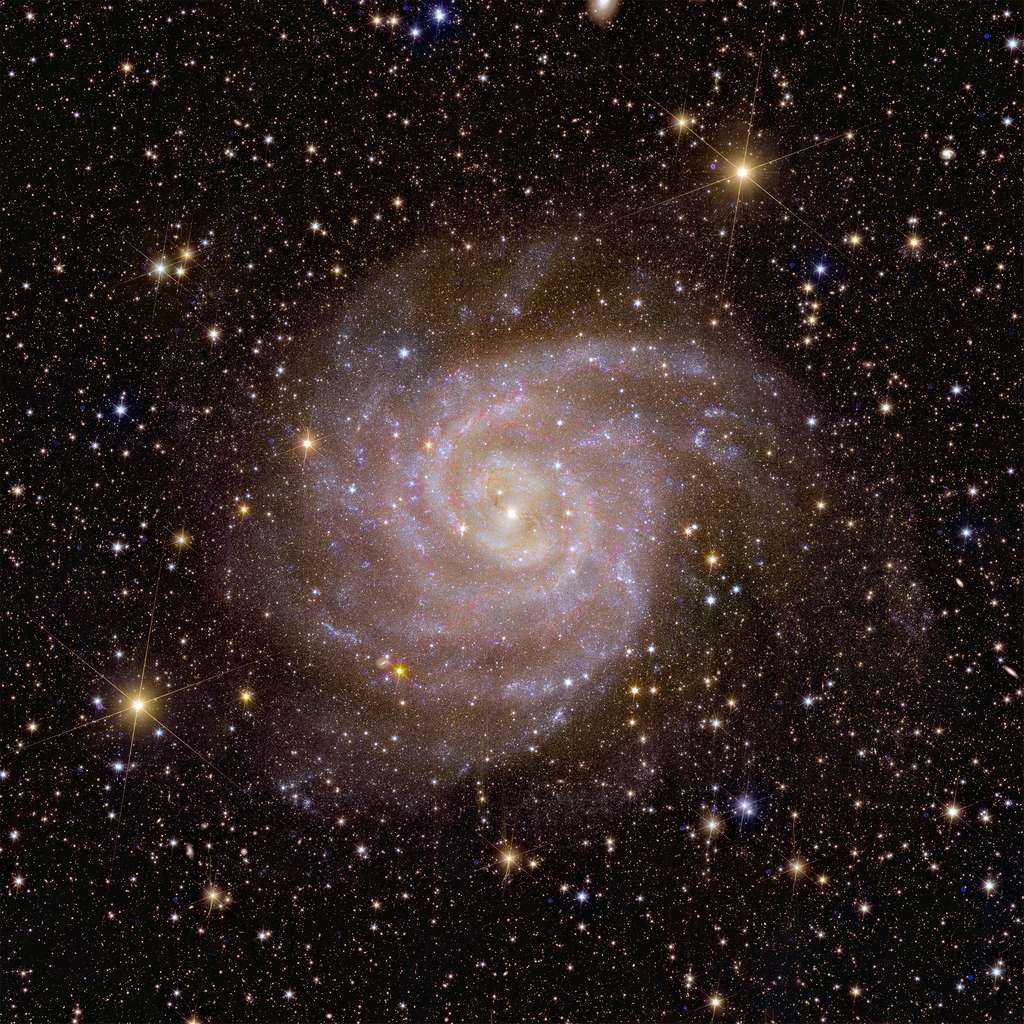  Cette image d’une galaxie anodine n’a pas été choisie de façon anodine ! Tout au long de sa durée de vie, Euclid observera et imagera des milliards de galaxies, révélant l’influence invisible que la matière noire et l’énergie sombre ont sur elles. C'est pourquoi il est normal que l'une des premières galaxies observées par Euclid soit surnommée la « Galaxie cachée », également connue sous le nom d'IC 342 ou Caldwell 5. Grâce à sa vue infrarouge, Euclid a déjà découvert des informations cruciales sur les étoiles de cette galaxie, qui est un sosie de notre Voie Lactée. <a href="https://www.esa.int/var/esa/storage/images/esa_multimedia/images/2023/11/euclid_s_view_of_spiral_galaxy_ic_342/25170712-1-eng-GB/Euclid_s_view_of_spiral_galaxy_IC_342.jpg" target="_blank">Téléchargez l'image en haute résolution</a>. © ESA/Euclid/Euclid Consortium/NASA, image processing by J.-C. Cuillandre (CEA Paris-Saclay), G. Anselmi; CC BY-SA 3.0 IGO