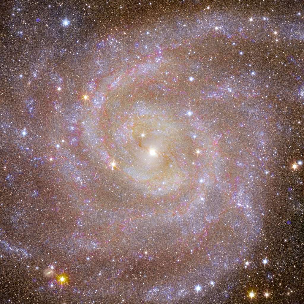 IC 342 est située à environ 11 millions d'années-lumière de la Terre. Cette galaxie est aussi grande que la pleine Lune dans le ciel. En tant que galaxie spirale, elle est considérée comme un sosie de la Voie lactée. Comme le souligne le communiqué, il est difficile d’étudier notre propre Galaxie car nous y sommes et ne pouvons la voir que par la périphérie. Ainsi, en étudiant des galaxies comme IC 342, nous pouvons en apprendre beaucoup sur des galaxies comme la nôtre. <a href="https://www.esa.int/var/esa/storage/images/esa_multimedia/images/2023/11/euclid_s_view_of_spiral_galaxy_ic_342/25170712-1-eng-GB/Euclid_s_view_of_spiral_galaxy_IC_342.jpg" target="_blank">Téléchargez l'image en haute résolution</a>. © ESA/Euclid/Euclid Consortium/NASA, image processing by J.-C. Cuillandre (CEA Paris-Saclay), G. Anselmi; CC BY-SA 3.0 IGO