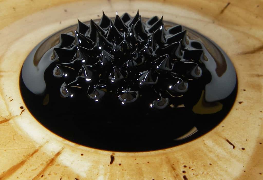 Un fluide superparamagnétique, appelé aussi ferrofluide, dans une soucoupe et au dessus d'un aimant au néodyme. © Steve Jurvetson, Wikimedia Commons
