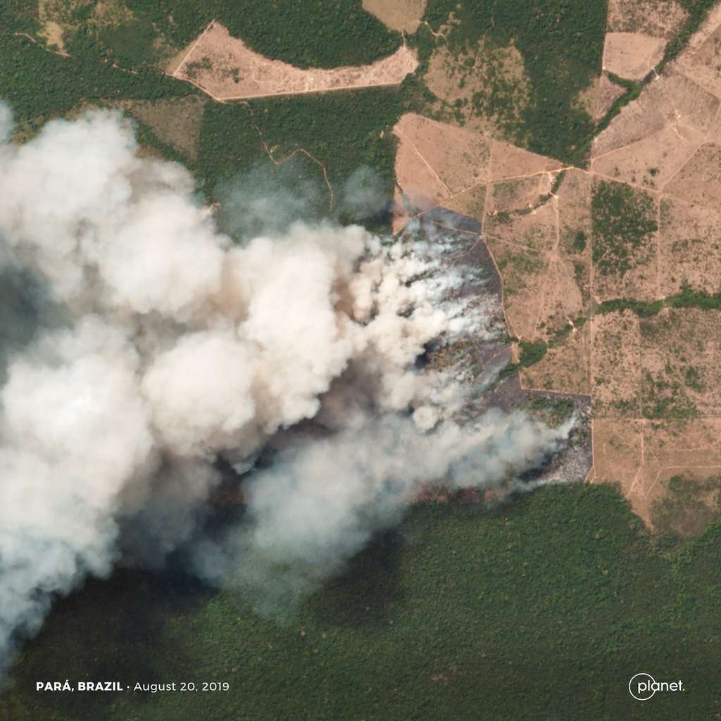 Cette image satellite montre les incendies qui ravagent des zones forestières, agricoles et d'élevage dans l'État du Pará au Brésil. La zone observée couvre une superficie de 5 km × 5 km avec une résolution de 3,7 mètres. Les détails les plus petits visibles mesurent environ 11 mètres. © 2019 Planet Labs, Inc.