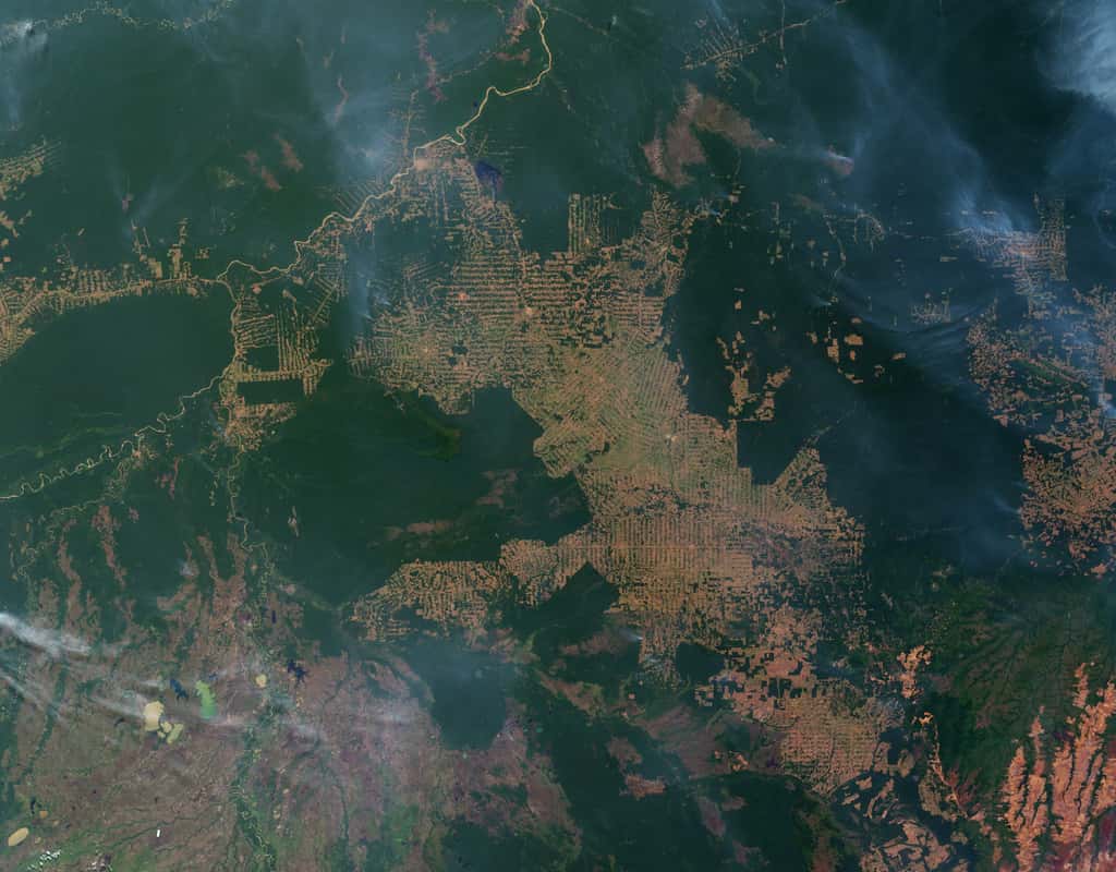 Déforestation en Amazonie vue de l’espace. © Nasa, EarthObservatory