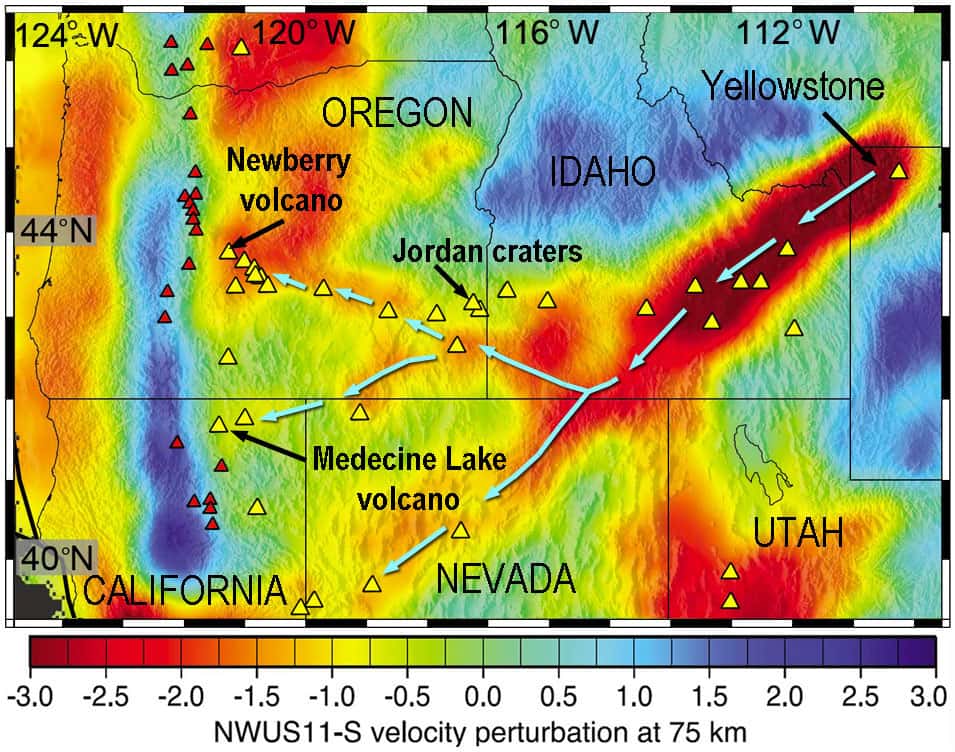 Coupe à 75 kilomètres de profondeur révélant les variations de vitesse sismique dans le manteau, traduisant des variations de température et de densité du matériau (James <em>et al.</em>, 2011). La couleur rouge représente la matière très chaude et de faible densité qui forme le panache. Cette matière s'insinue vers l'ouest depuis Yellowstone <em>via</em> des bras ou « chenaux ». Le bleu représente la matière plus froide et de densité plus élevée. Les triangles jaunes situent des éruptions récentes (moins de 2 Ma) à la surface, qui se superposent relativement bien au panache. Les triangles rouges sont les volcans de la Chaîne des Cascades, qui semble agir comme une barrière bloquant l'avancée du panache vers l'ouest. ©️ Victor Camp, <em>Geology</em>, 2019
