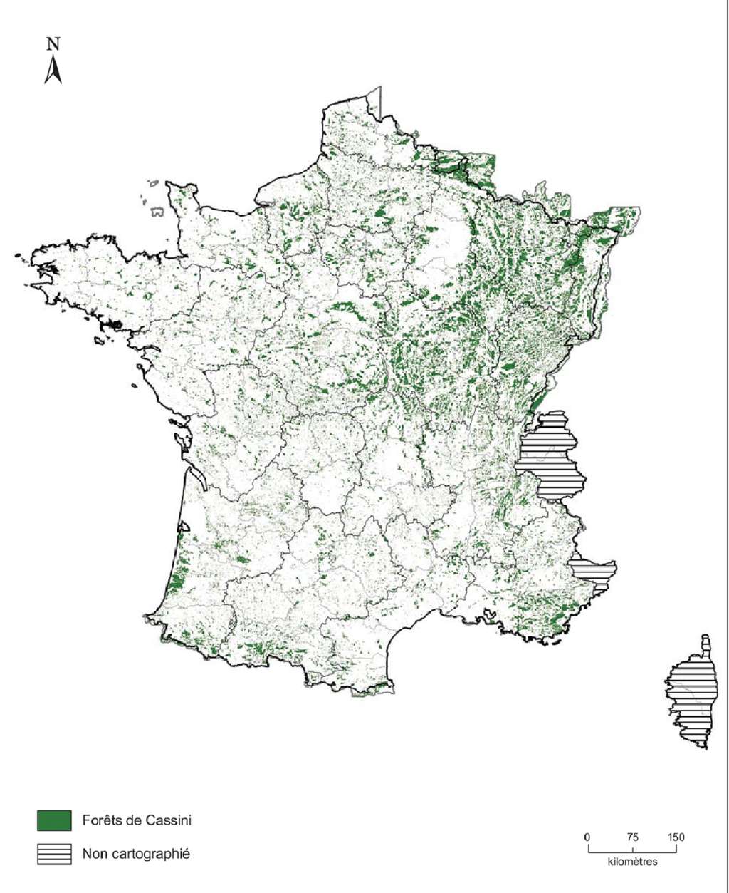 Représentation des forêts répertoriées sur les cartes de Cassini vers 1770 (densité forestière importante sur le quart nord-est du pays). © WWF, INRAP 