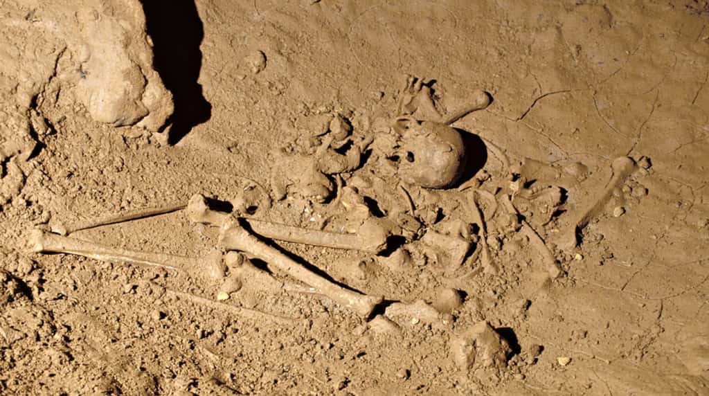 Restes hulmains dans une bauge de la grotte de Cussac. © P Mora, PCR Cussac, Ministère de la Culture
