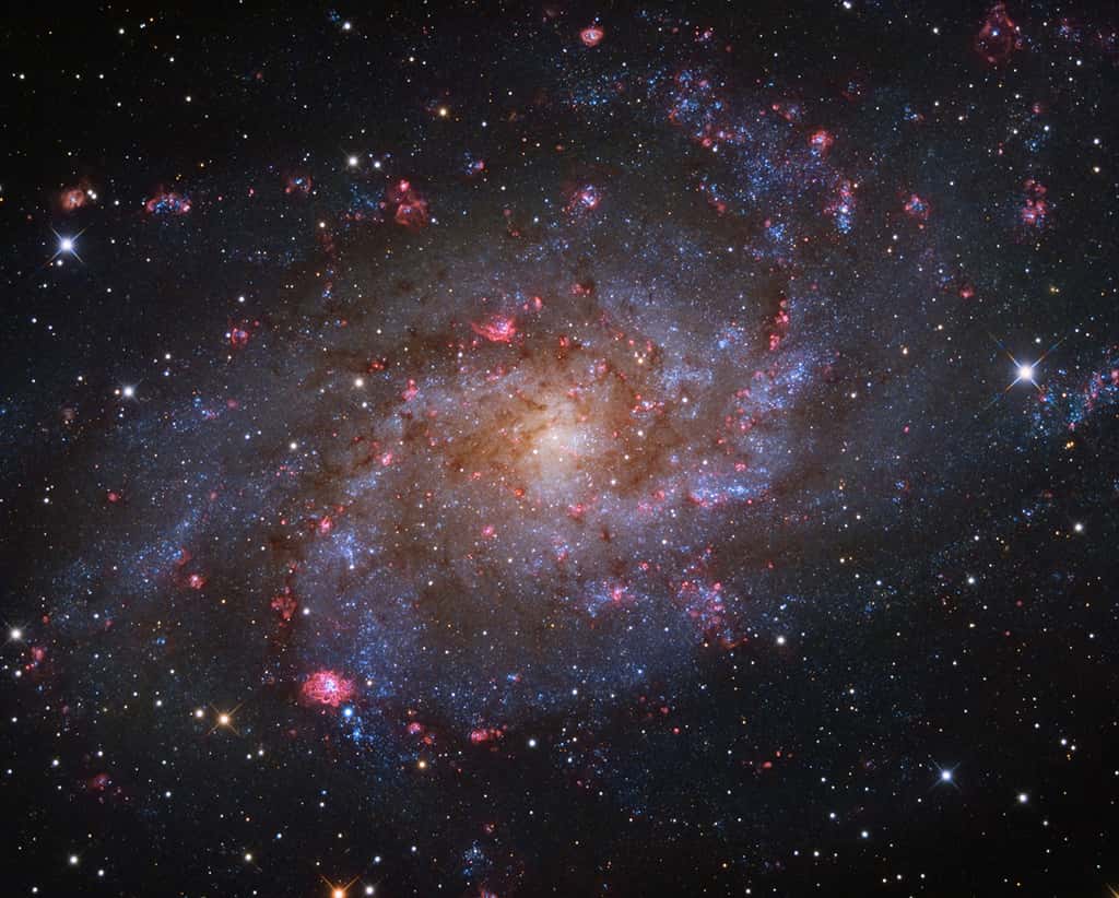 La galaxie du Triangle (M33). © Rui Liao, <em>Insight Investment Astronomy Photographer of the Year</em>