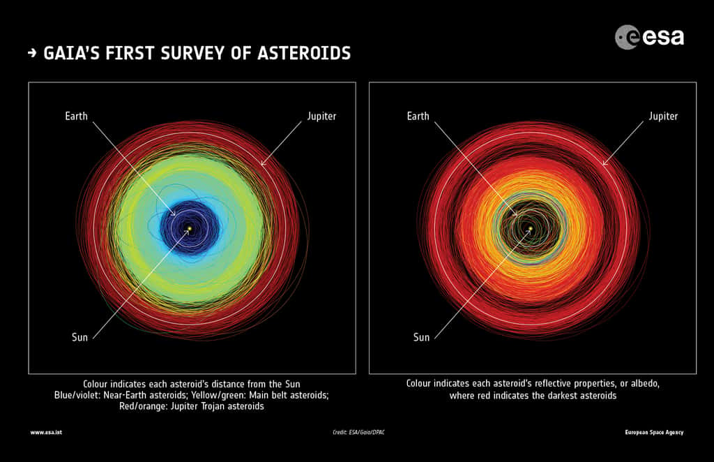 À gauche, les orbites de plus de 14.000 astéroïdes observés par le satellite Gaia. Les différentes couleurs correspondent à leur distance au Soleil : en bleu et violet, les géocroiseurs ; en jaune et vert, les objets de la ceinture principale d'astéroïdes ; en rouge et orange, les astéroïdes troyens de Jupiter. Les orbites de la Terre et de Jupiter figurent également sur l'image comme référence. À droite, les couleurs des orbites indiquent l'albédo des astéroïdes (lumière réfléchie par la surface) d'après les données du télescope spatial infrarouge <em>Wide Field Infrared Explorer</em> (WIRE) de la Nasa : en jaune, vert, bleu et violet, les astéroïdes les plus brillants ; en rouge, les astéroïdes les plus sombres. © ESA/Gaia/DPAC; <em>Orbit plots</em>: CC By-SA 3.0 IGO