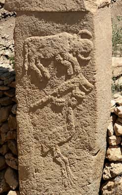 Sur le site préhistorique de Gödekli Tepe, différents animaux ont été sculptés en relief sur des piliers. Ici, auroch, renard et grue. © Klaus-Peter Simon, CC by 3.0